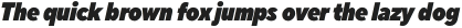 TT Norms Pro Condensed ExtraBlack Italic otf (900)
