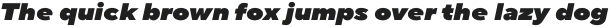 TT Norms Pro Expanded ExtraBlack Italic otf (900)