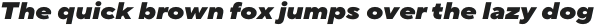 TT Norms Pro Expanded Black Italic otf (900)