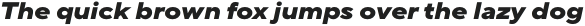 TT Norms Pro Expanded ExtraBold Italic otf (700)