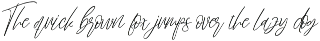 Brillian Signature | Script Font preview
