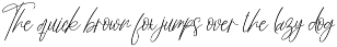 Butterfly Signature | Script Font preview