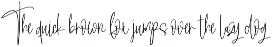 Sligature | Script Font preview