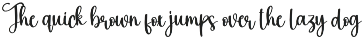 Bunny | Script Font preview