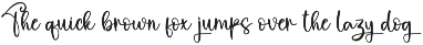 Thomshon | Script Font preview