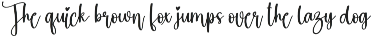 Market | Script Font preview