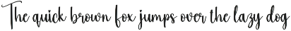 Tumbler | Script Font preview