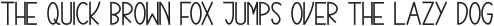 DELIGHTFUL Bold ttf (300)
