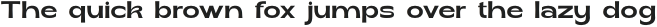 soka UltraBold otf (700)