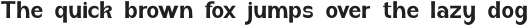 soka Bold condensed otf (700)