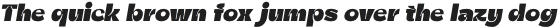 Zt Shago ExtraBlack Italic otf (900)