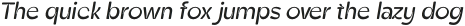 Zt Shago Italic Rounded otf (400)