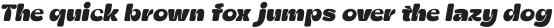 Zt Shago ExtraBlack Italic Rounded otf (900)