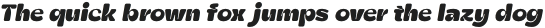 Zt Shago Black Italic Rounded otf (900)