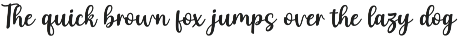 Austaly Calligraphy Font preview