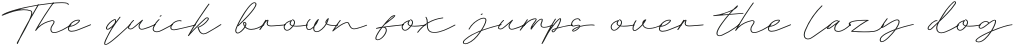 Doctorline Thin otf (100) Sample