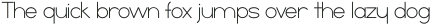DS Simple Sans Light otf (300)