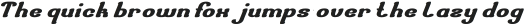 Transfer Honest Bold otf (700)