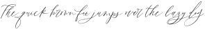 NeoSerenityScript-Regular otf (400)