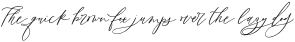 NeoSerenityScriptWeight4 otf (400)
