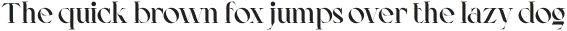 AO Leoney Extra Bold otf (700)