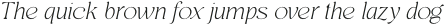 Regis Thin Italic otf (100)