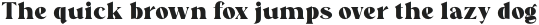 Regis Black otf (900)