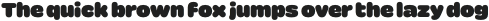 Poipoi Standard otf (400)