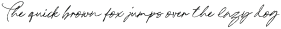 NiceMemory-Regular otf (400)