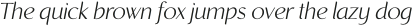 Recline Light Italic otf (300)