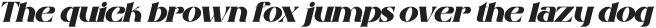 SHOMETHING Italic otf (100)