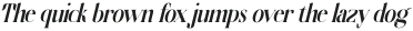 Wingfead Italic otf (400)