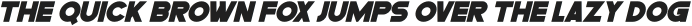 BLANK SPACE Italic otf (400)