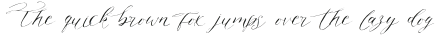 VersatyScript Regular otf (400)