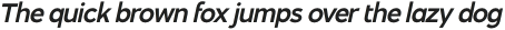 Essential Sans Bold Italic otf (700)