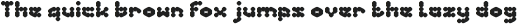 PHENOMENON Bold otf (700)