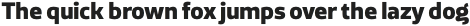 Famiar ExtraBold otf (700)