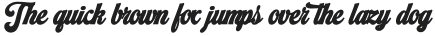 Alameda Script Black otf (900)