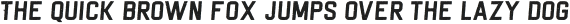 THORND Bold Italic Grunge otf (700)
