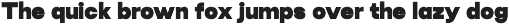 Candu Typeface preview