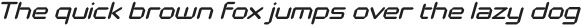 Polarized Light Italic otf (300)