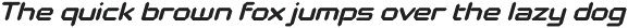 Polarized Italic otf (400)