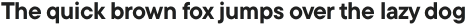 TT Commons Pro Bold Italic otf (700)