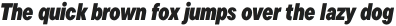 TT Commons Pro Condensed ExtraBlack Italic otf (900)