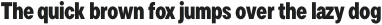 TT Commons Pro Condensed Black otf (900)