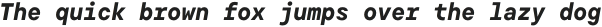 TT Commons Pro Mono Bold Italic otf (700)