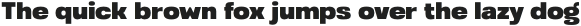 SUE-Bold otf (700)