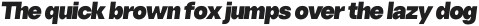 Sherika Black Italic ttf (900)