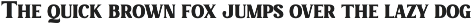 Charmist – Thick And Unique Serif preview