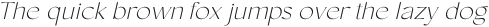 Conso Thin Italic otf (100)